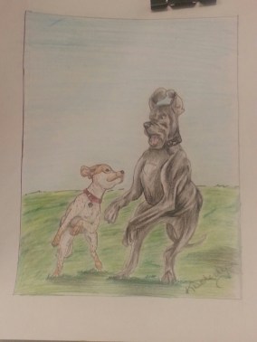 20151217_151316.jpg image